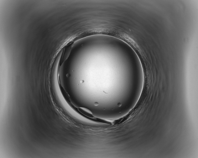 X0000087620482200704271401