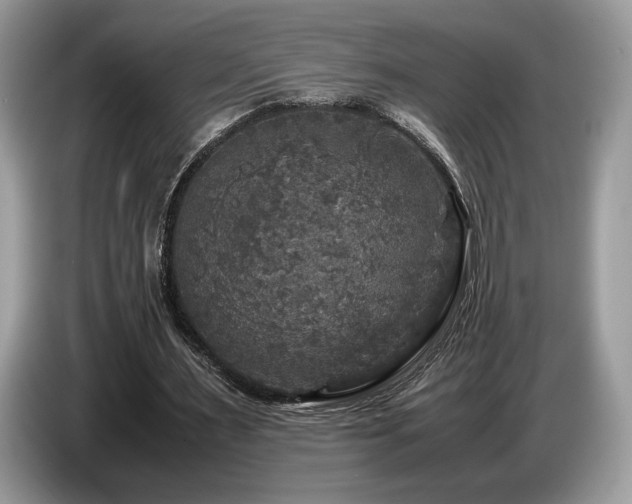 X0000087620483200704271401