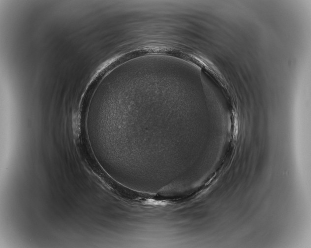 X0000087620484200704271401