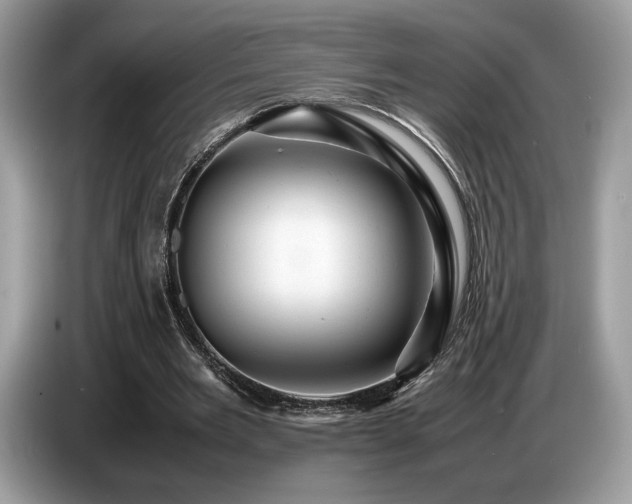 X0000087620485200704271401