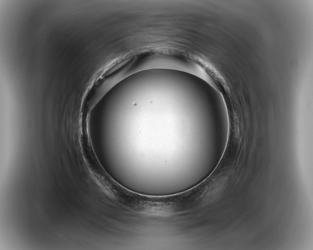 X0000087620486200704271401