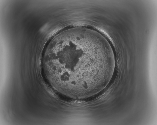 X0000087620487200704271401