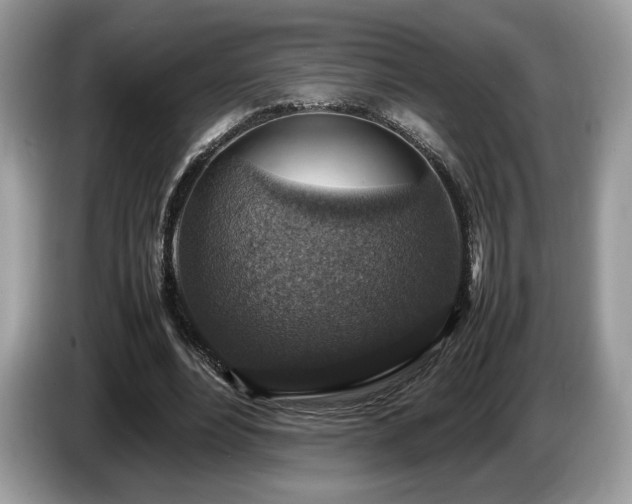 X0000087620488200704271401