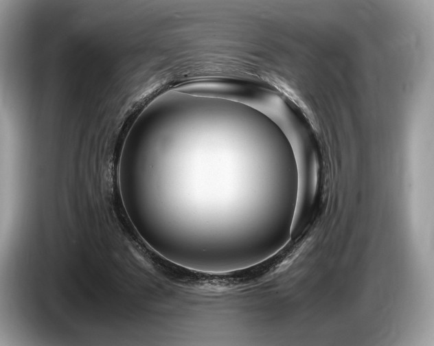 X0000087620489200704271401