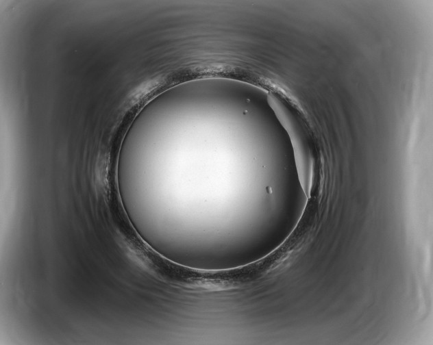 X0000087620490200704271401