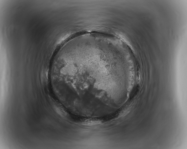 X0000087620491200704271401