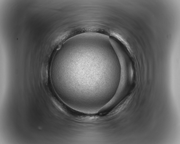 X0000087620493200704271401