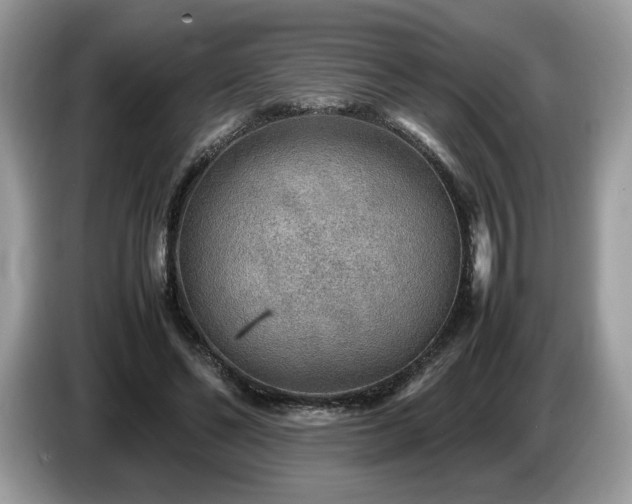 X0000087620494200704271401