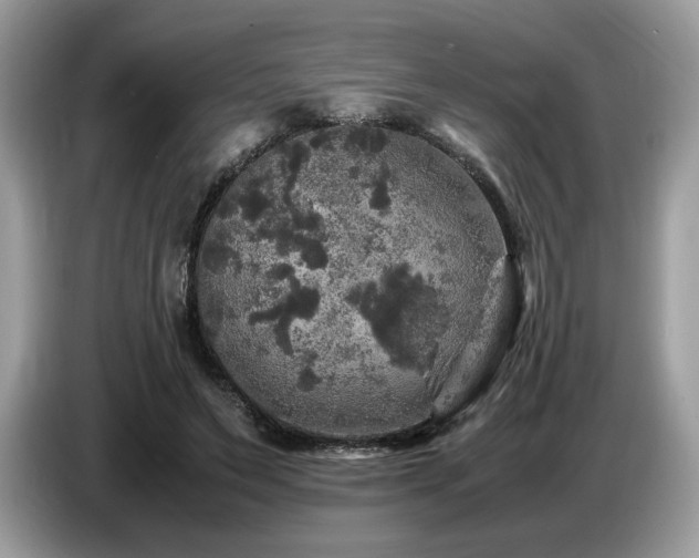 X0000087620495200704271401