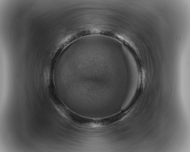 X0000087620496200704271401