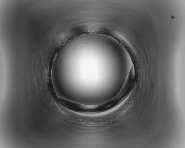 X0000087620497200704271401