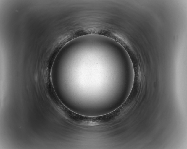 X0000087620498200704271401