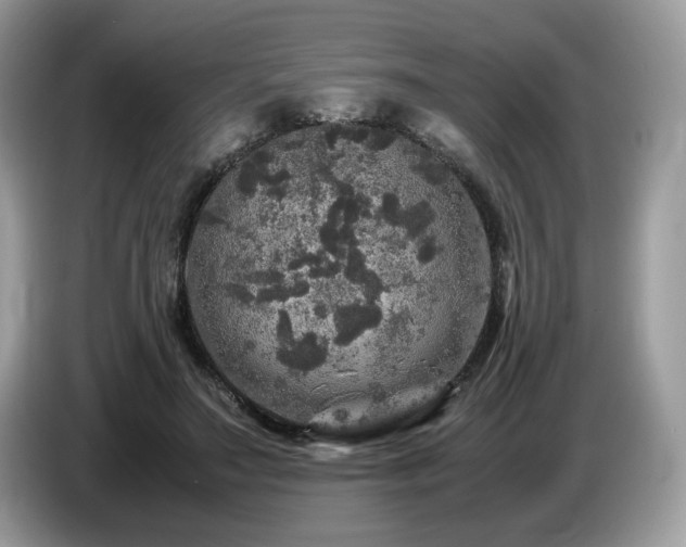 X0000087620499200704271401