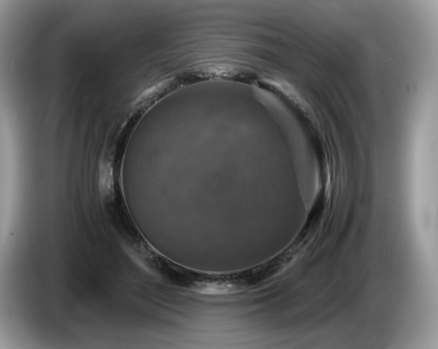 X0000087620500200704271401