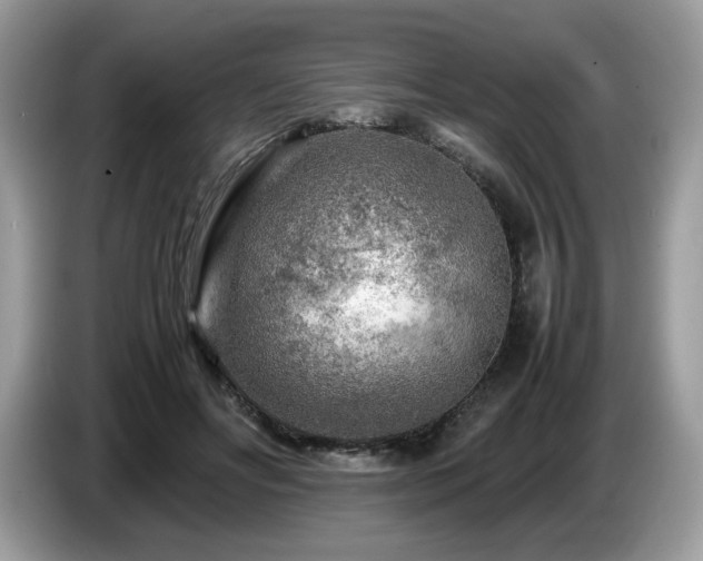X0000087620502200704271401