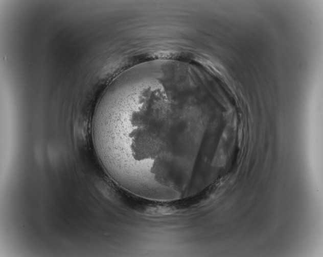 X0000087620503200704271401