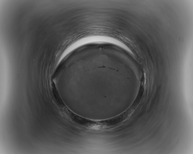 X0000087620504200704271401