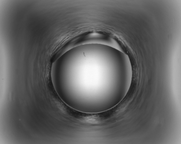 X0000087620505200704271401