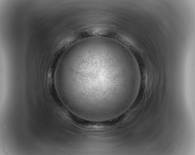 X0000087620506200704271401