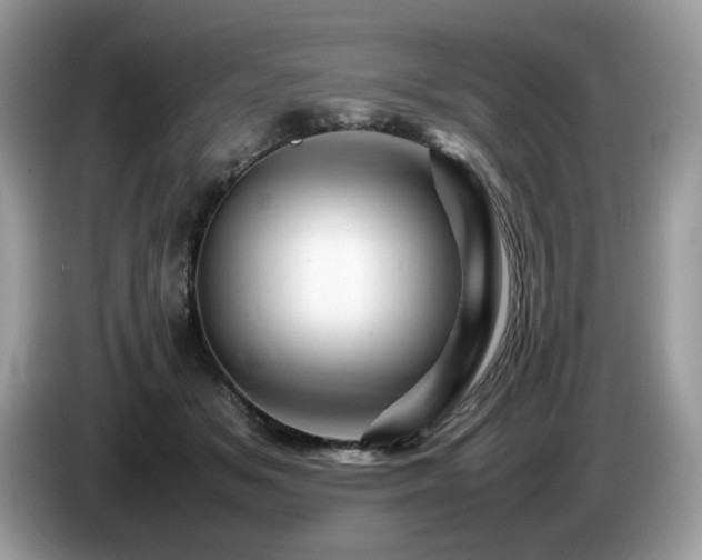 X0000087620509200704271401