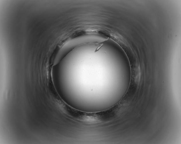 X0000087620510200704271401