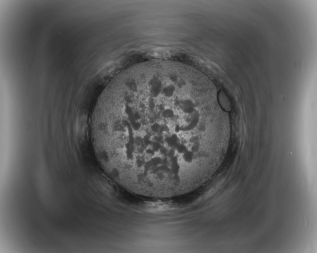X0000087620511200704271401
