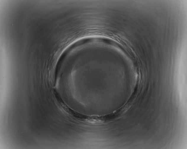 X0000087620512200704271401