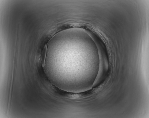 X0000087620513200704271401
