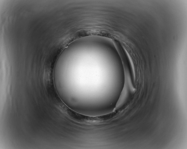 X0000087620514200704271401