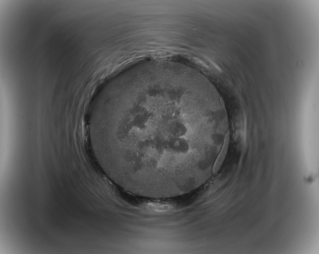 X0000087620515200704271401