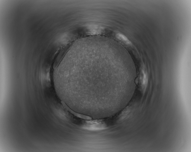 X0000087620516200704271401