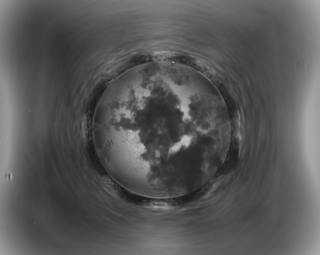 X0000087620519200704271401
