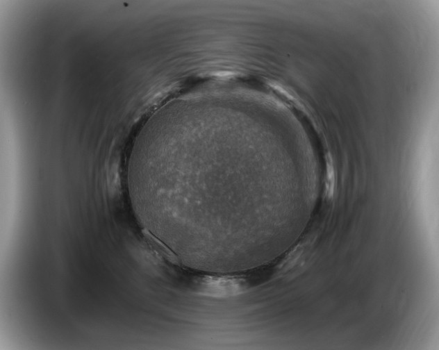 X0000087620520200704271401