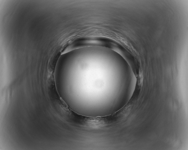 X0000087620521200704271401