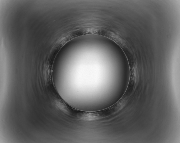 X0000087620522200704271401