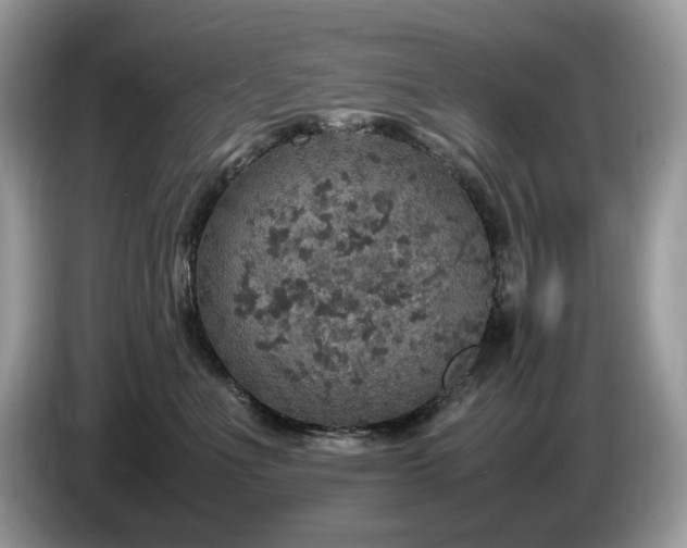 X0000087620523200704271401