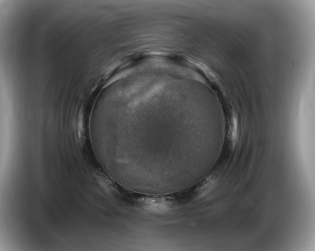 X0000087620524200704271401