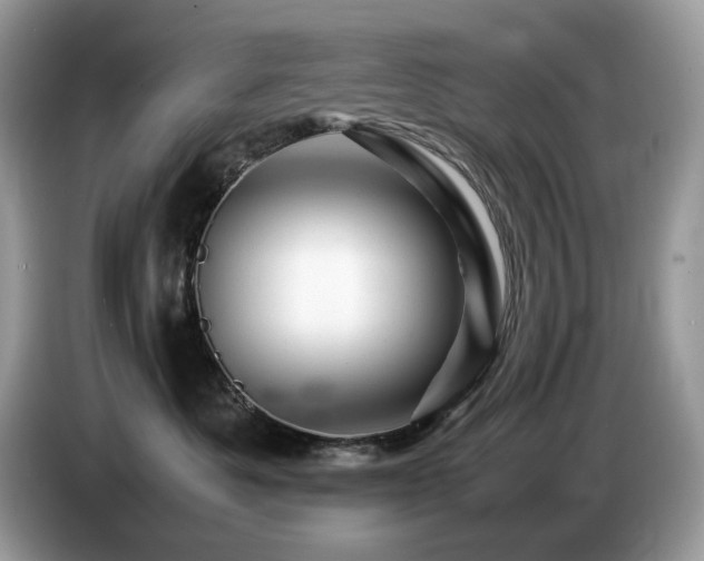 X0000087620525200704271401