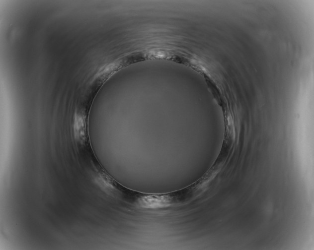 X0000087620526200704271401