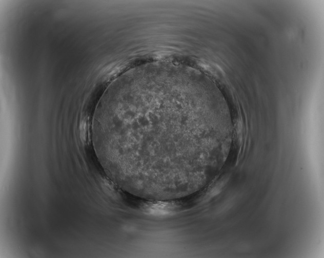 X0000087620527200704271401