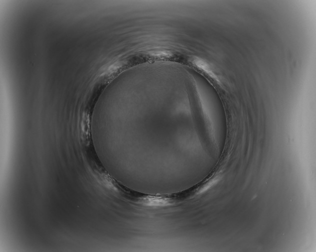 X0000087620528200704271401