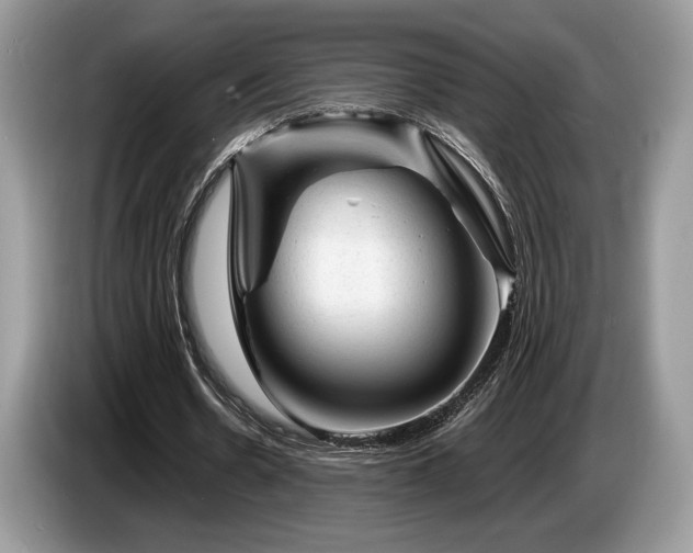 X0000087620530200704271400