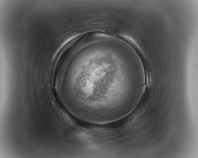 X0000087620531200704271400