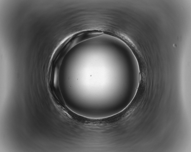 X0000087620532200704271400