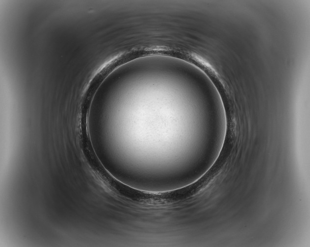 X0000087620535200704271400