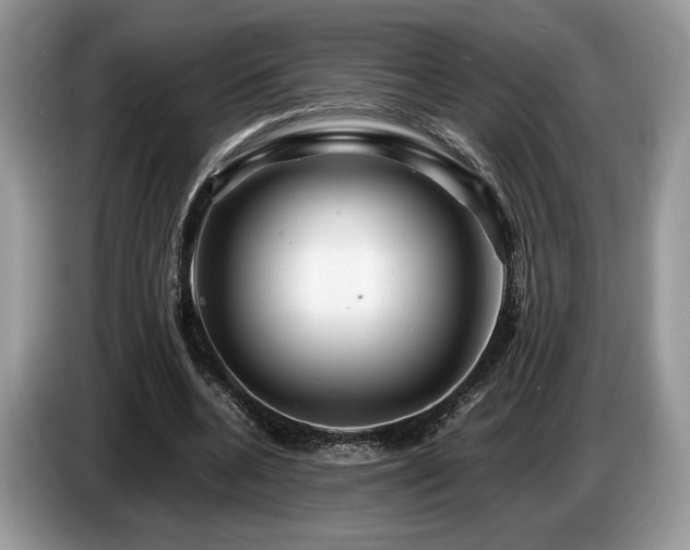 X0000087620536200704271400