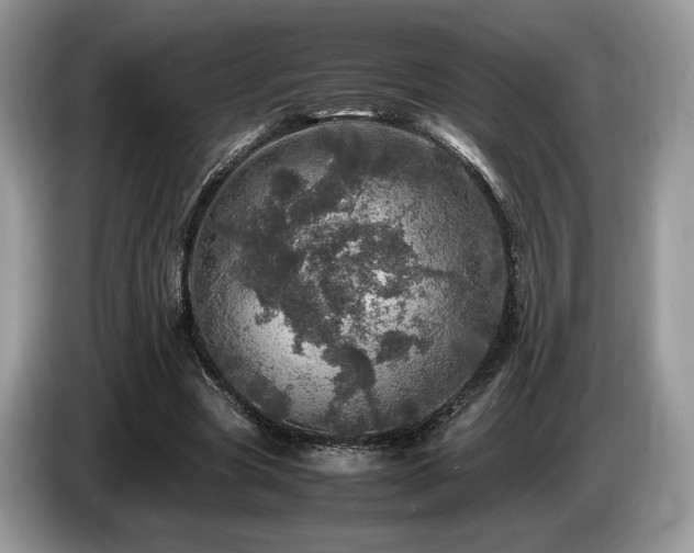 X0000087620537200704271400