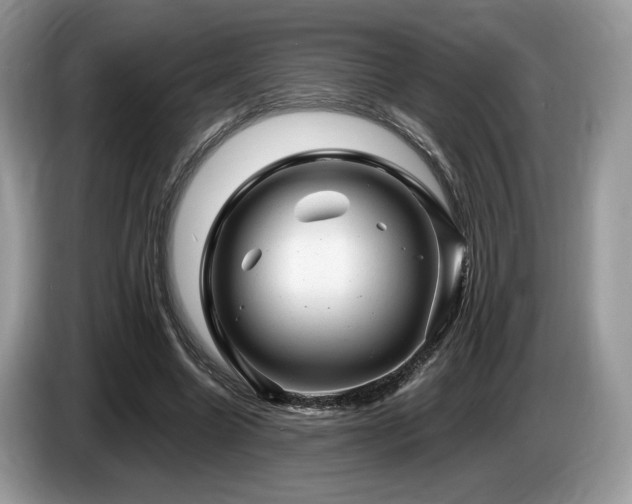 X0000087620538200704271400