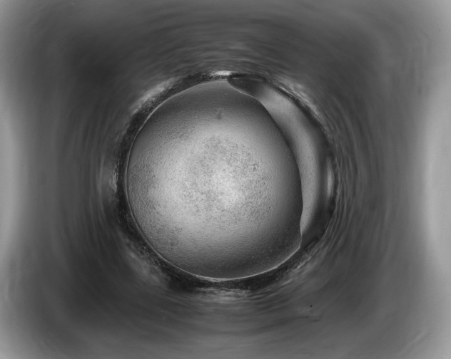 X0000087620539200704271400