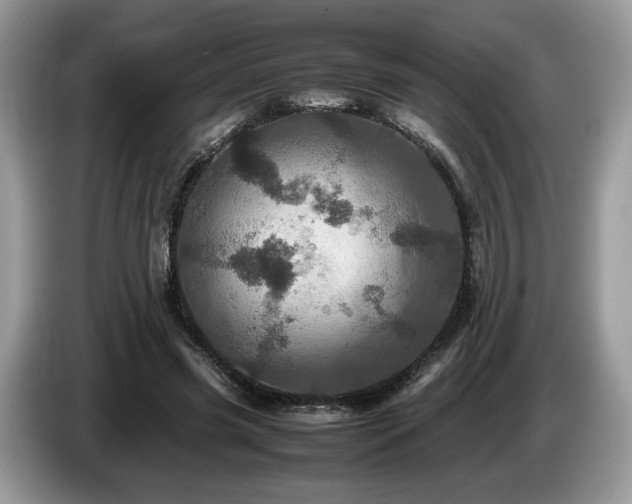 X0000087620541200704271400